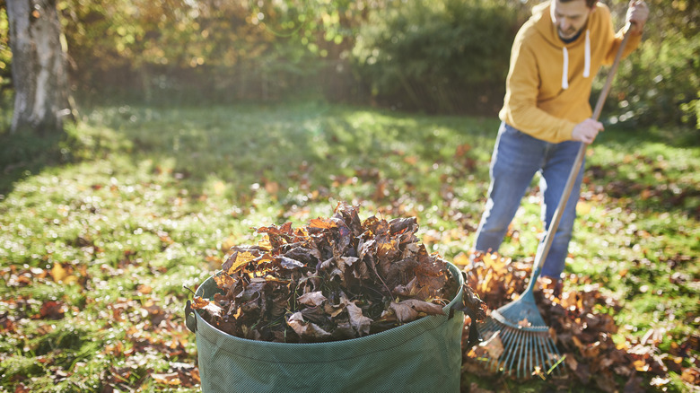 A green, mesh pop-up leaf bag full of leaves in a yard