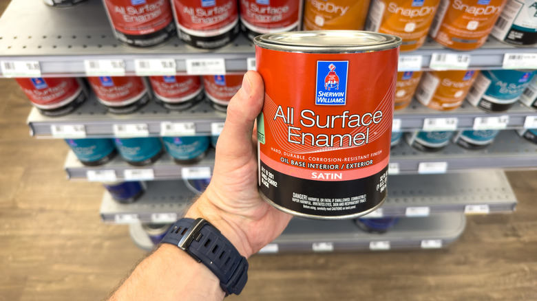hand holding paint in store