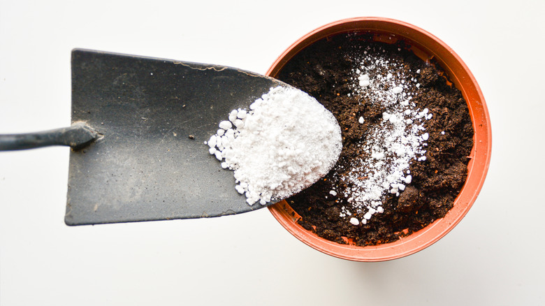 Small shovel with perlite above a pot filled with dark soil.