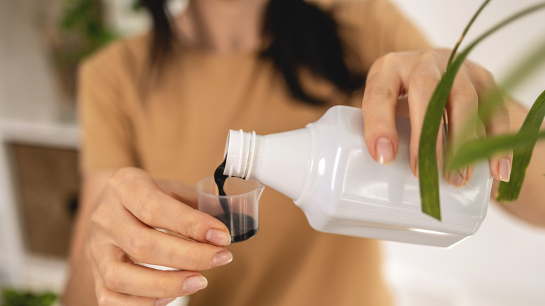 Person pouring liquid fertilizer into a measuring cup