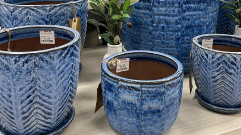 blue planters on store shelf