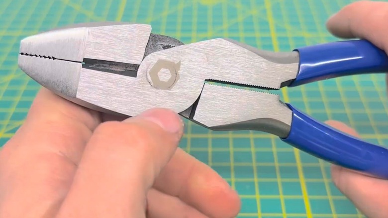 Person holding Quinn pliers