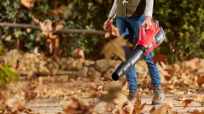 Person using a battery-powered leaf blower