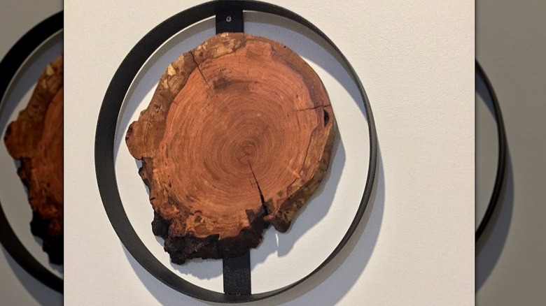 A round of cherry burl inside a metal ring as a piece of wall art