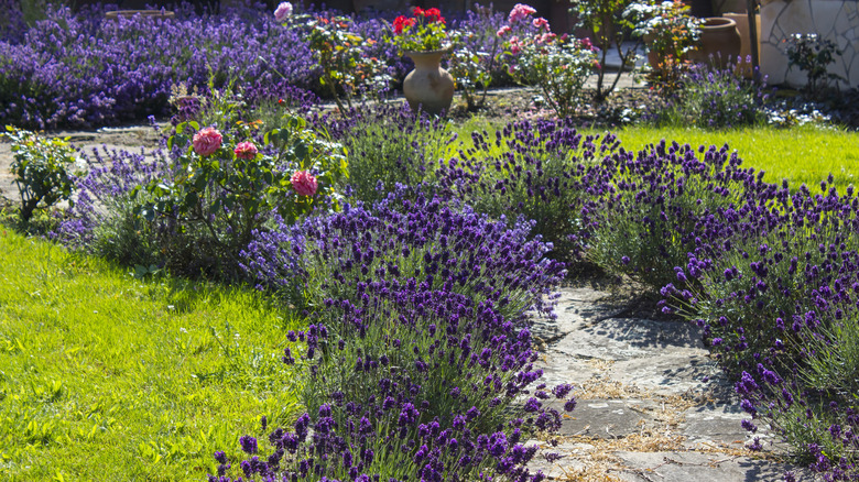 A stunning flower garden with roses and other plants and a natural stone pathway running through it.