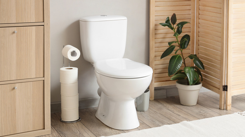 bathroom with a freestanding toilet paper holder