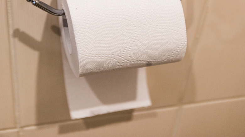 closeup on a wall mounted open-ended toilet paper holder with roll