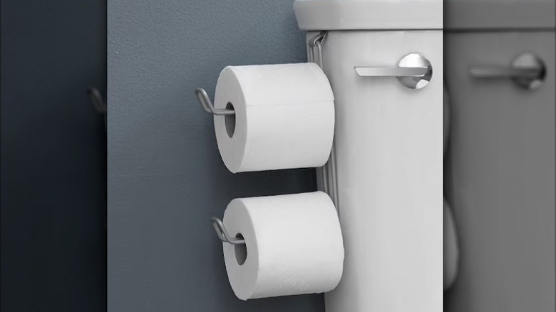 closeup of Lowe's exclusive Style Selection tank toilet paper holder