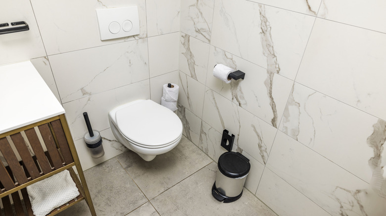 bathroom with wall-mounted toilet paper holder