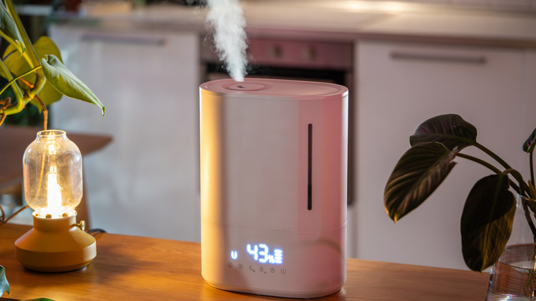 An ultrasonic humidifier emitting moist air with plants on the table beside it