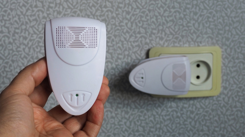 Hand holding an ultrasonic pest repellent with another repeller device plugged into an outlet on the wall