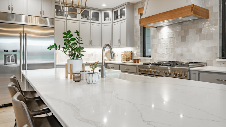 Quartz countertops in a contemporary kitchen.