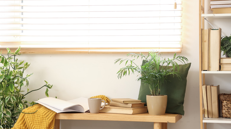 A shoe bench with books and a plant on top.