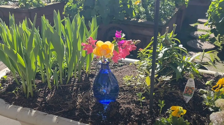 Glass vase with flowers in the middle of a garden