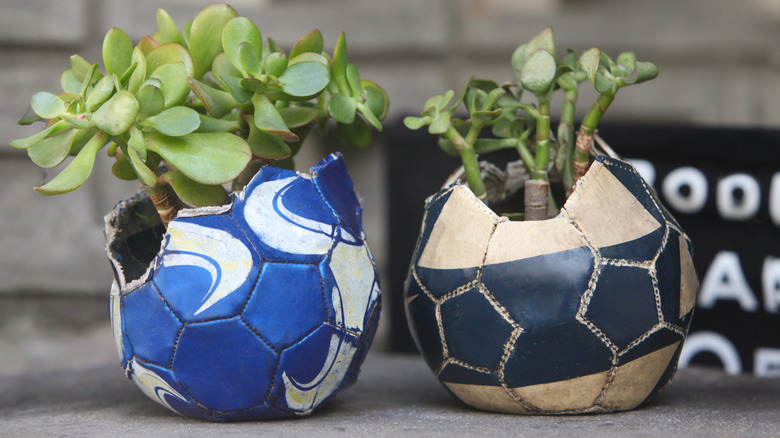 Closeup of repurposed soccer balls with succulents
