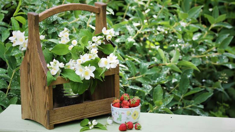 A wooden tool box being used as a planter for flowers