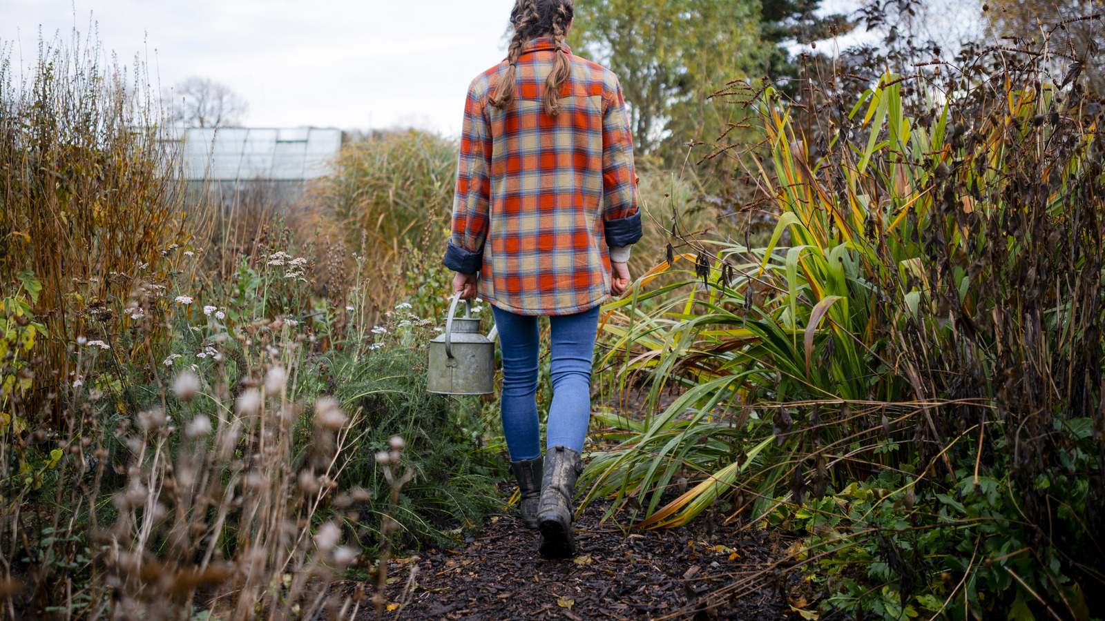 12 Easy Vegetables To Grow YearRound In Your Garden