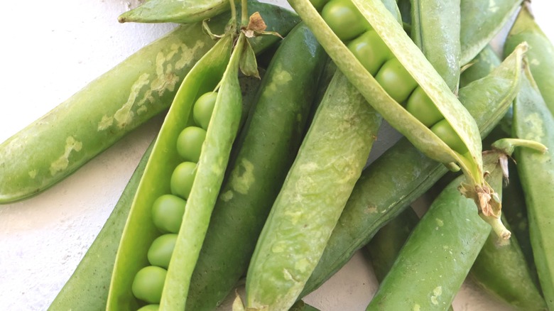 Winter hardy peas in pods