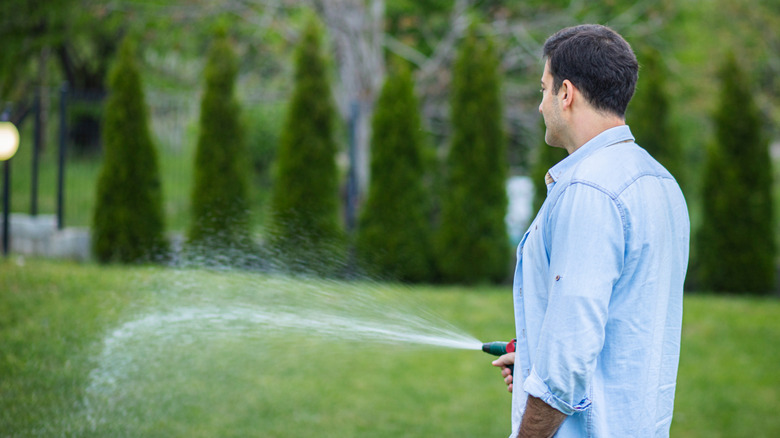 A man watering a lawn with a hose