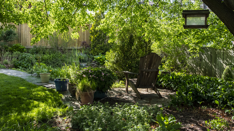 A backyard with lots of shade