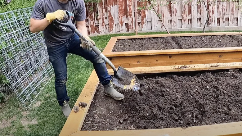 hand tilling with shovel