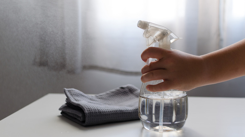 Hand holding a spray bottle of vinegar and water