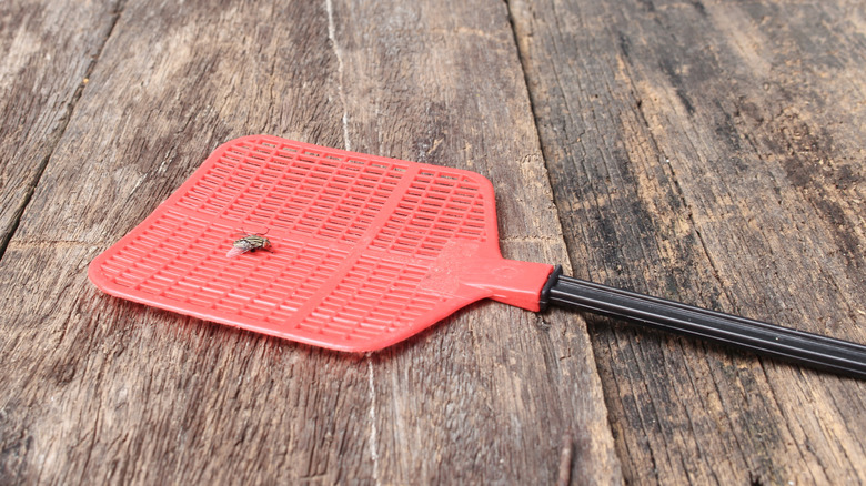 A person using a fly swatter at a desk