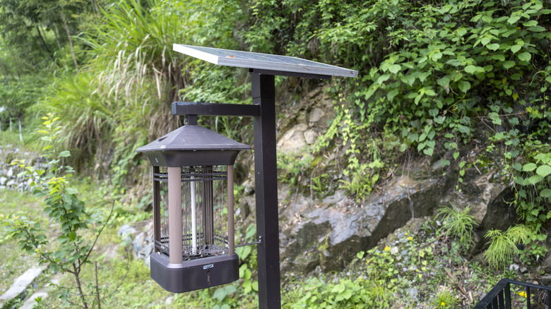 Electric light fly trap hanging from black pole outside