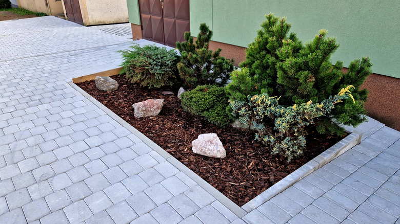 A mulched flower bed with a mulch-free area between it and the house beyond