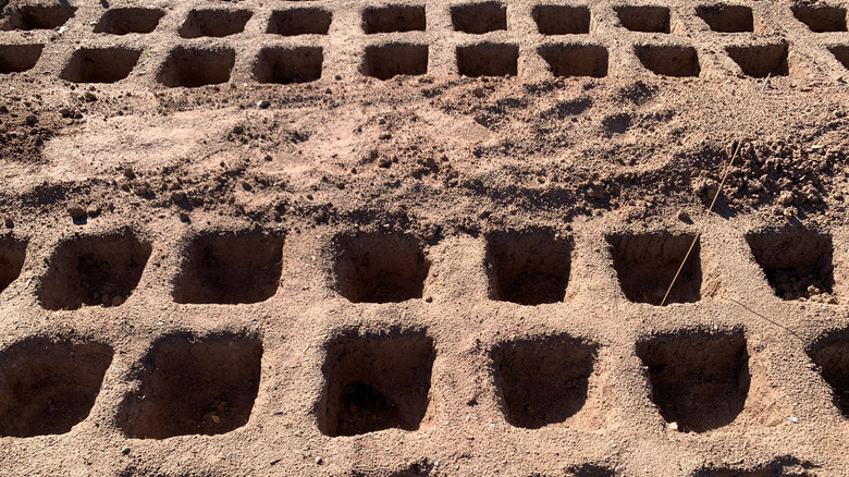 A "waffle" garden with multiple sunken beds.