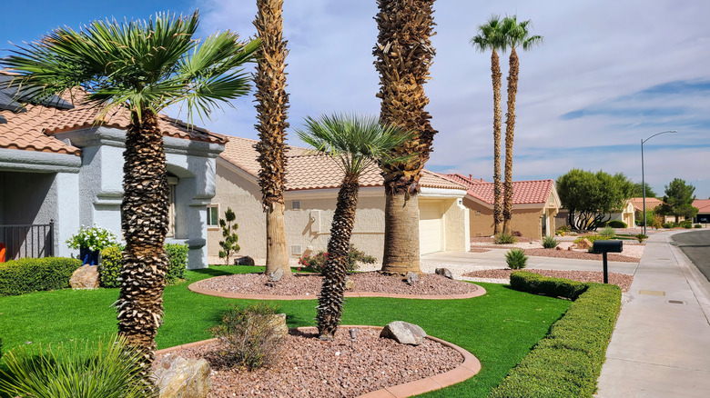 A suburban desert garden with lush green grass.
