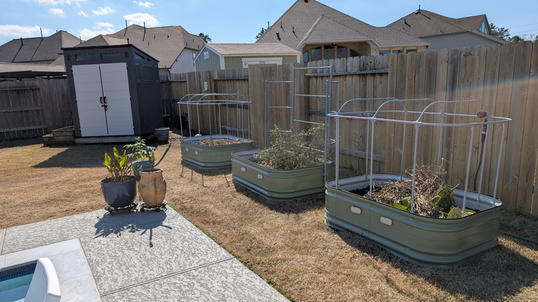 Metal raised beds in a suburban garden with brown grass.