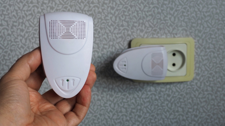 A homeowner holding an ultrasonic pest control device