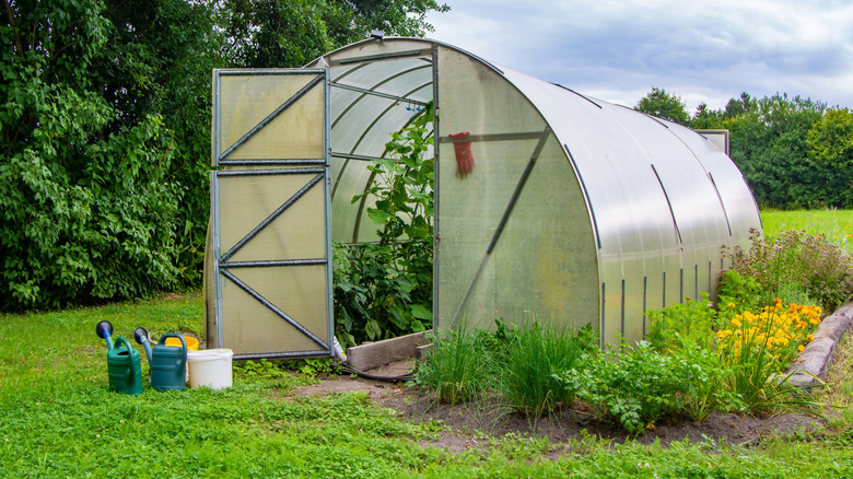 A garden greenhouse in field