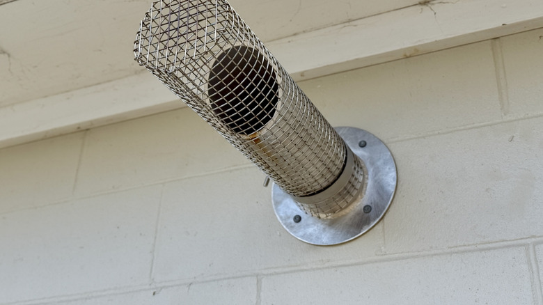Exhaust vent on home with wildlife proof screen