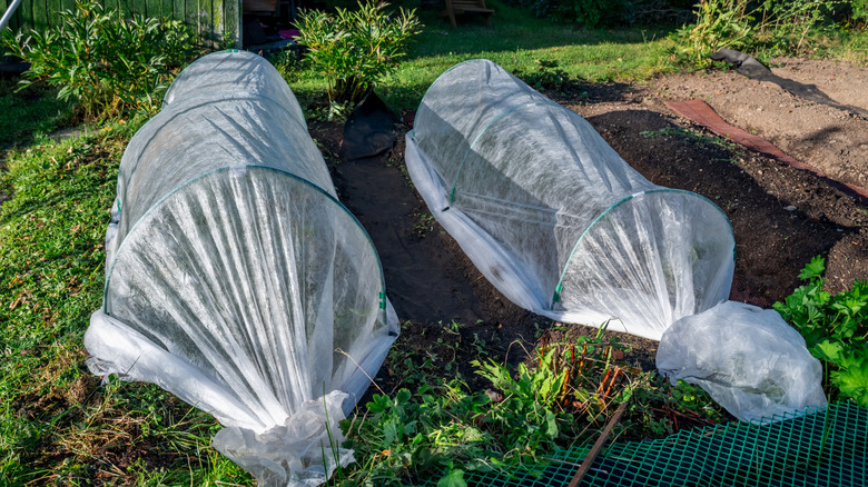 tunnel coverings over garden beds
