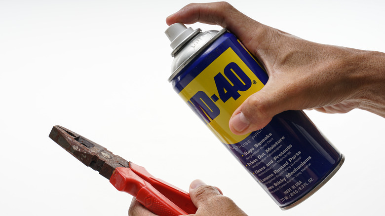 A person holds a can of WD-40 in one hand and a pair of rusted pliers in the other before spraying