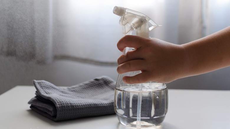 A woman is holding a spray bottle filled with a clear liquid