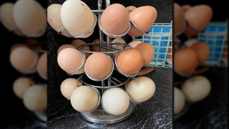 K-cup holder holding a collection of chicken eggs in various shades of brown and white