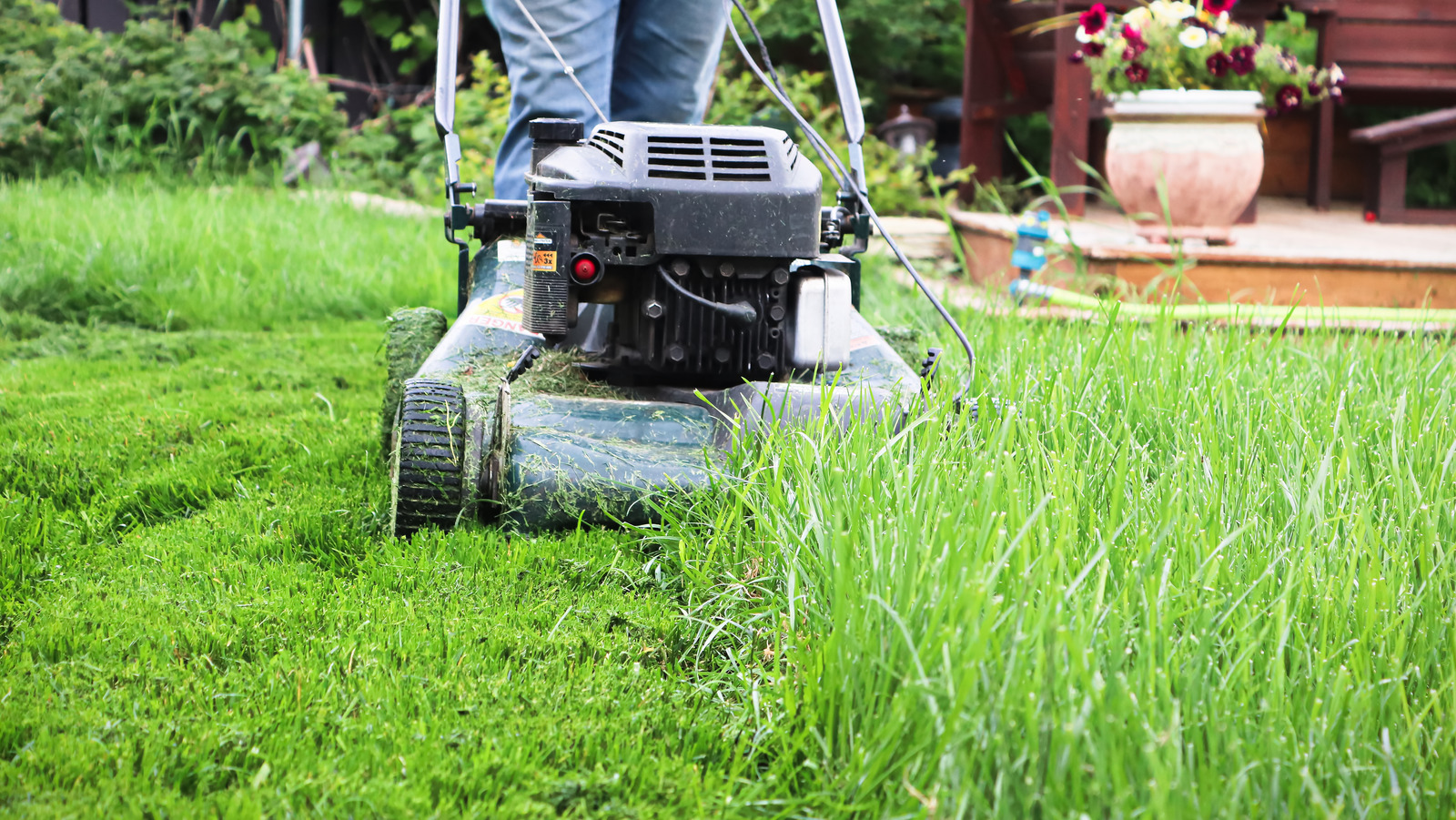 What To Do With Extra Grass Clippings In Your Lawn And Garden