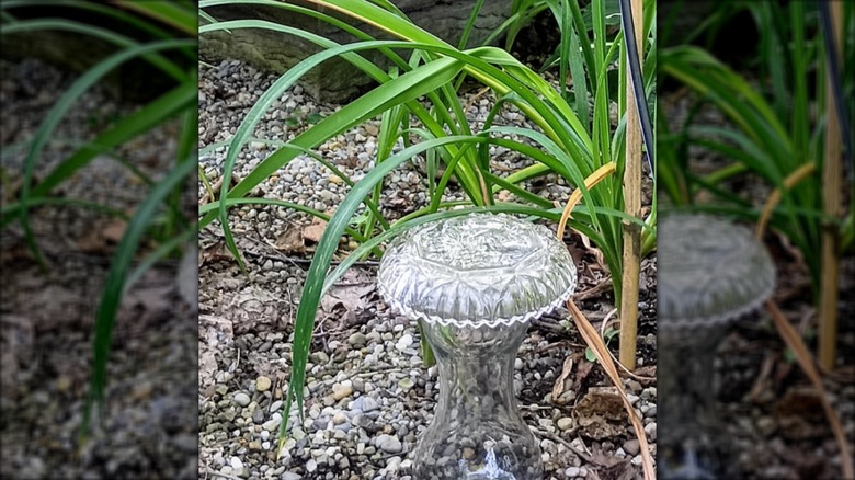 Ornamental mushrooms made from crystal glassware
