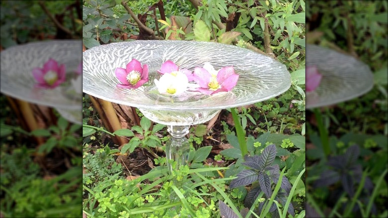 Bird bath made of glassware pieces
