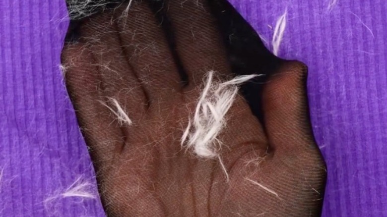 black tights over hand covered in white pet hair