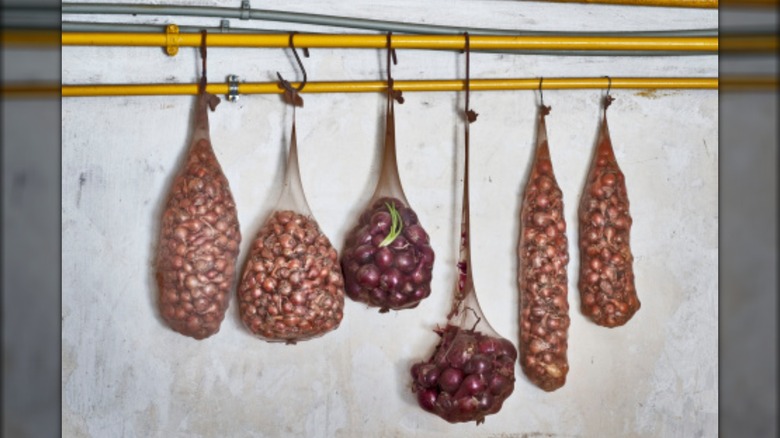 Onions hanging in pairs of old tights