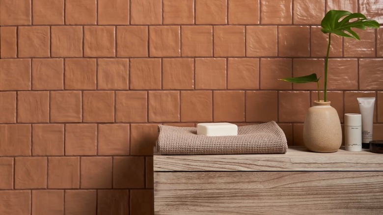 A wall with a terra cotta tile backsplash