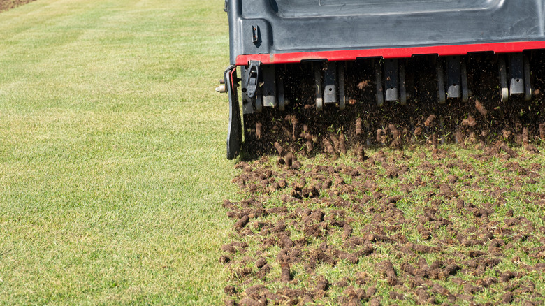 Aerating lawns with a large aerator