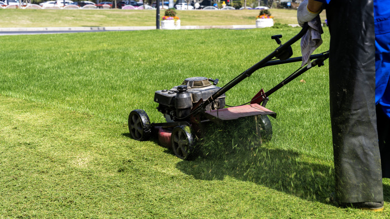 Person mowing lawn with a sharp device