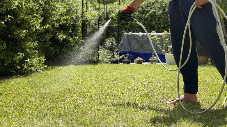 Person watering grass with a hose