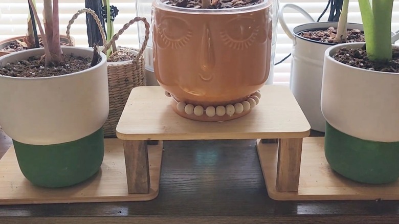 Two tiered shelves made out of Dollar Tree cutting boards with potted plants on top.