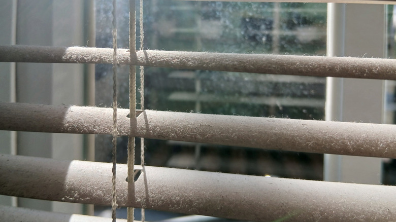 Dusty metal Venetian blinds up close.
